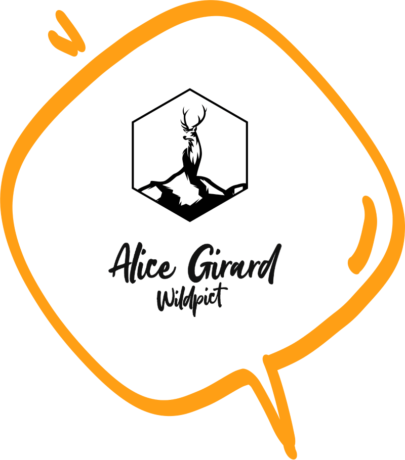 Témoignage Alice Girard x L'Empreinte Créative